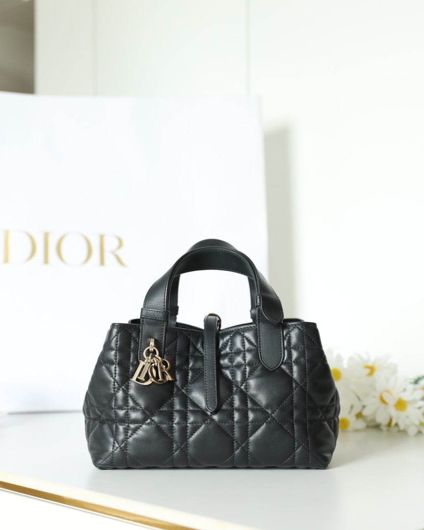 디올 Toujours 스몰백 23 x 14 x 12 cm