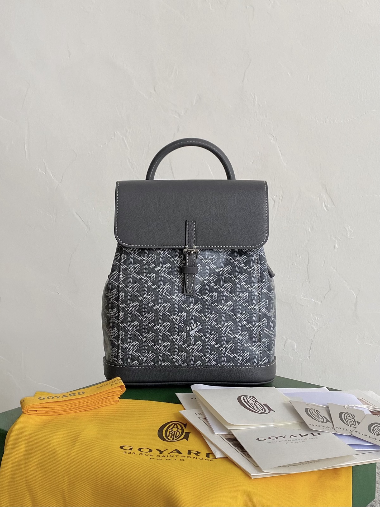 GOYARD Alpin Mini Backpack 23×19×9.5cm