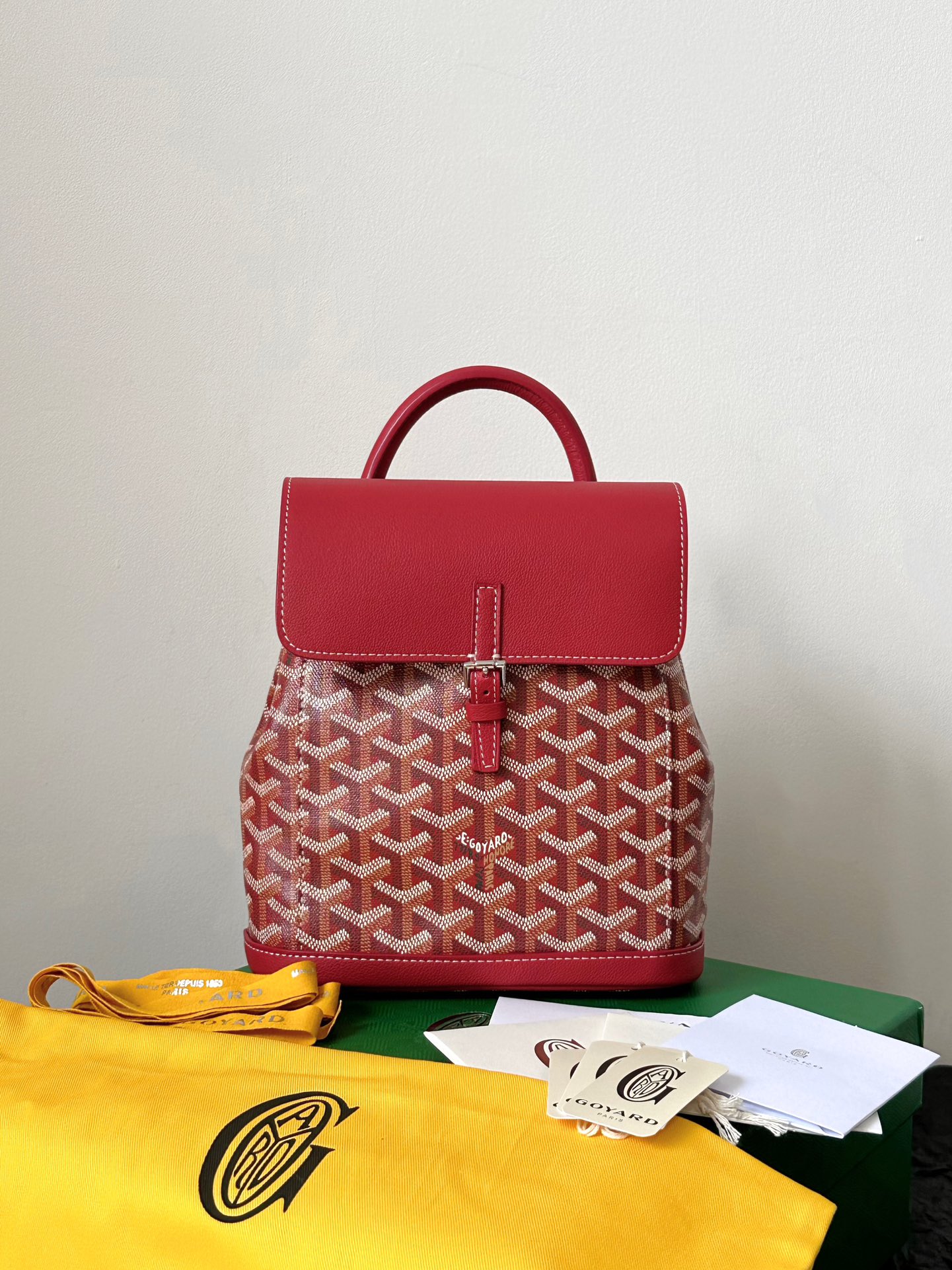 GOYARD Alpin Mini Backpack 23×19×9.5cm