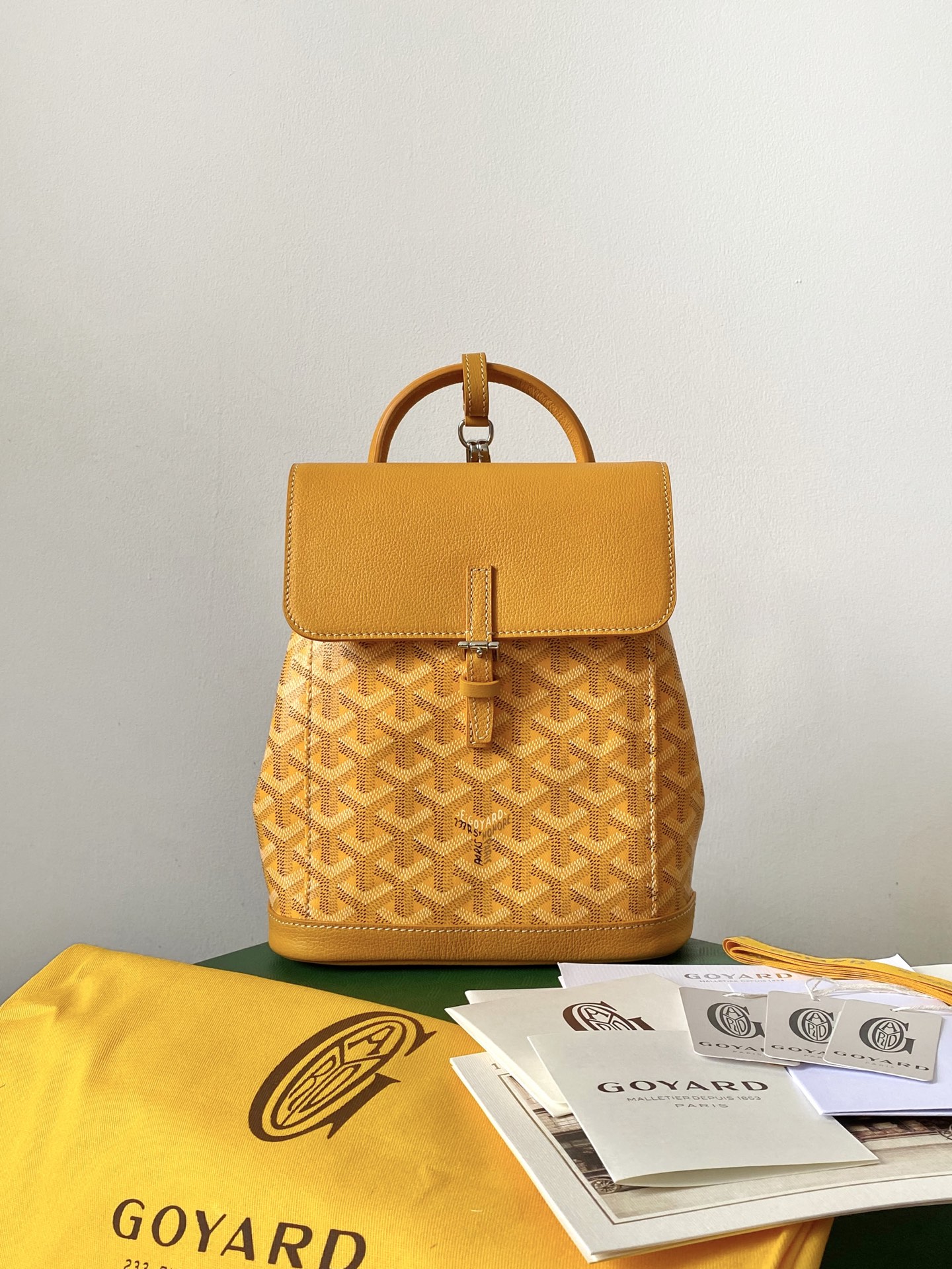 GOYARD Alpin Mini Backpack 23×19×9.5cm