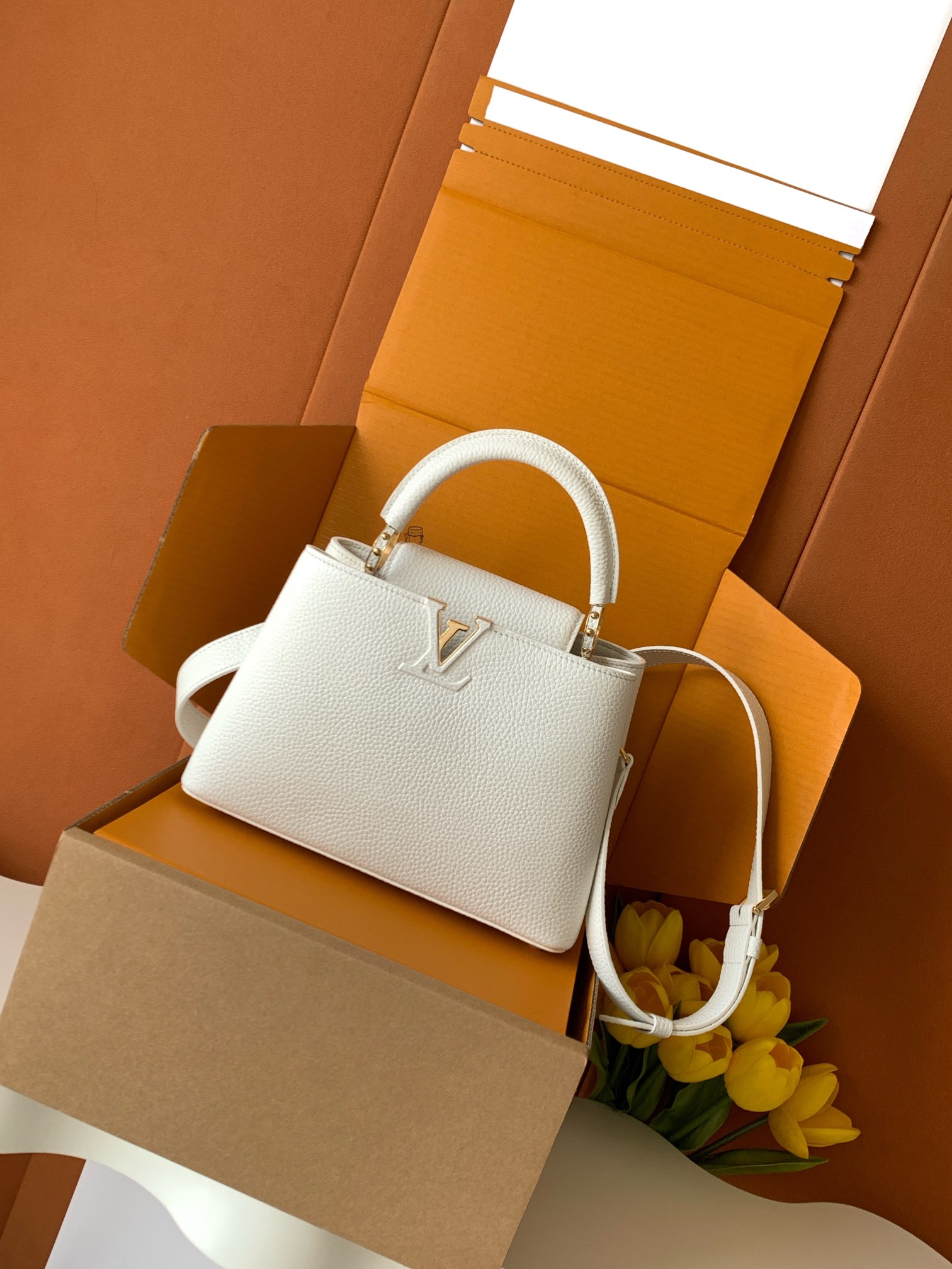 M24728 카퓌신 BB  27 x 17.3 x 9 cm