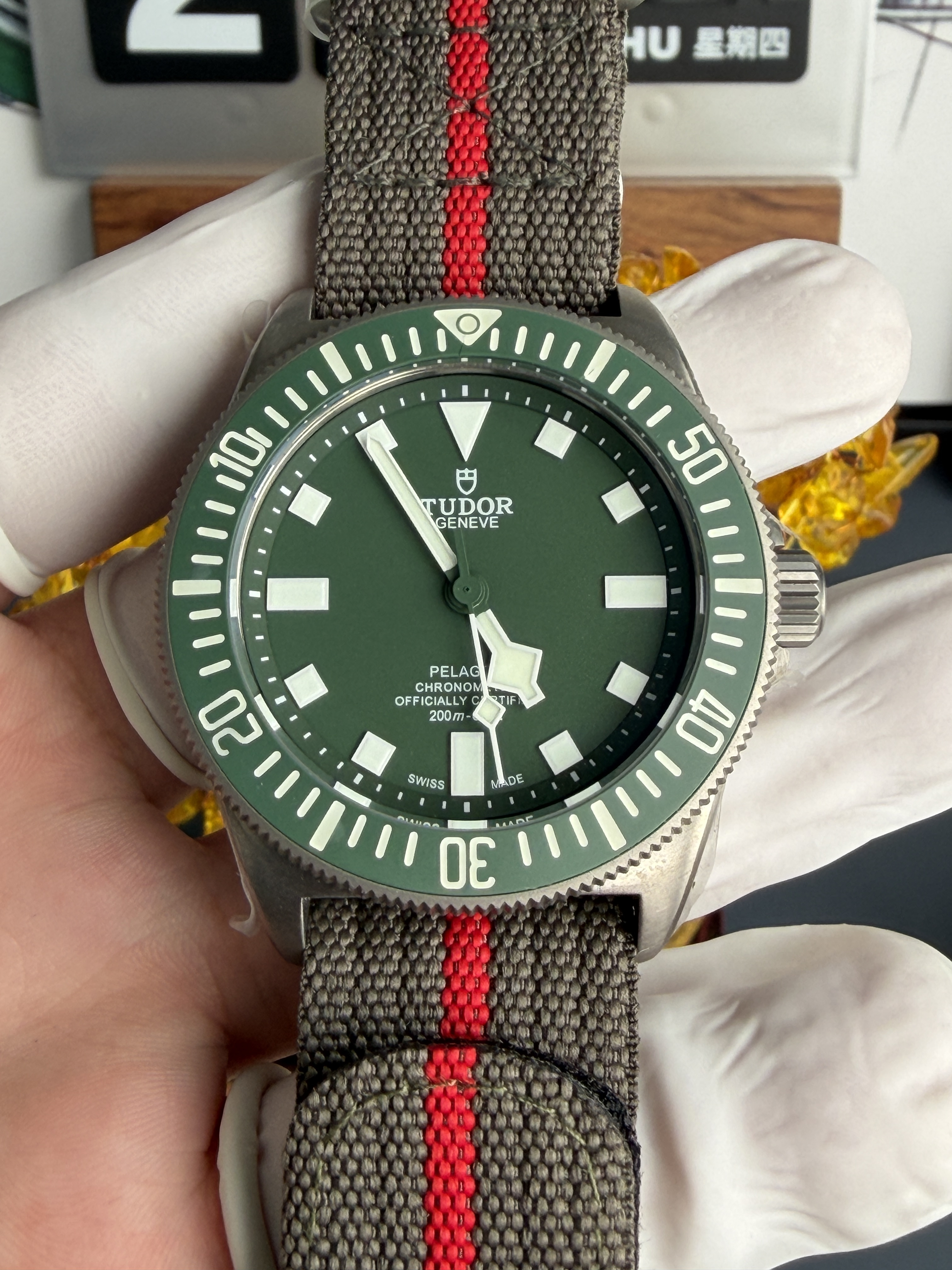 BR l 42mm l Tudor Pelagos FXD